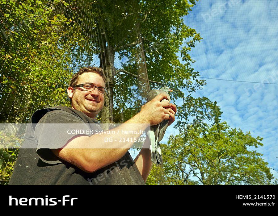 Hemis France Pyrenees Atlantiques Pays Basque Ordiarp Pantiere Napal Filets Cage Capturer Palombes Pigeons