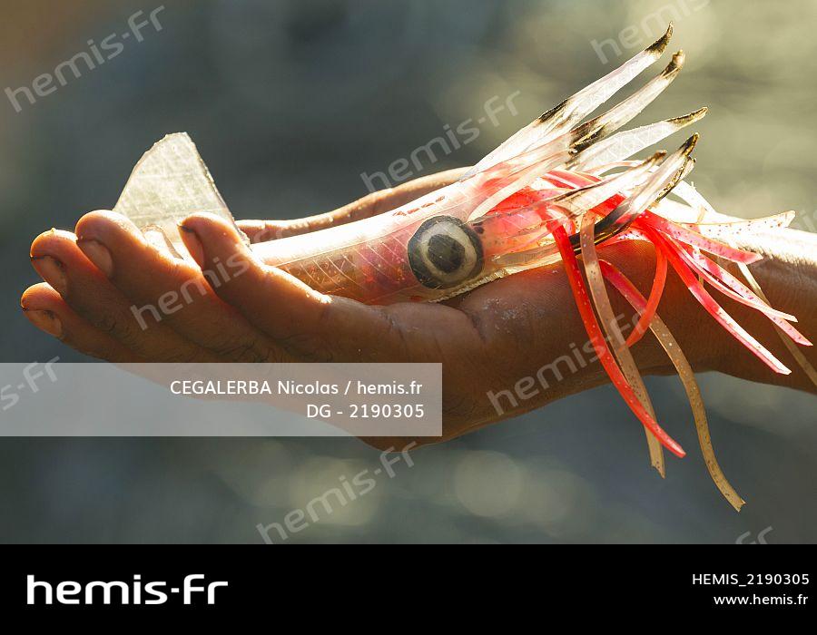 Hemis stock photo agency specialized travel, tourism, nature and  Environment : Indonesia, Alor: fishing kite by Nicolas CEGALERBA