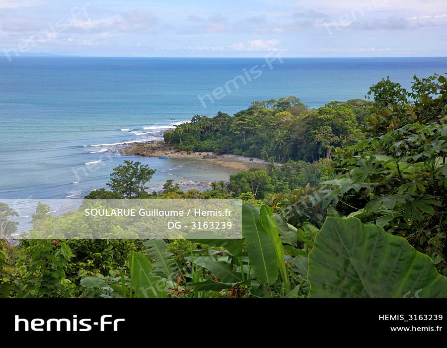 Hemis Costa Rica Peninsule Osa Vue Foret Primaire Plage