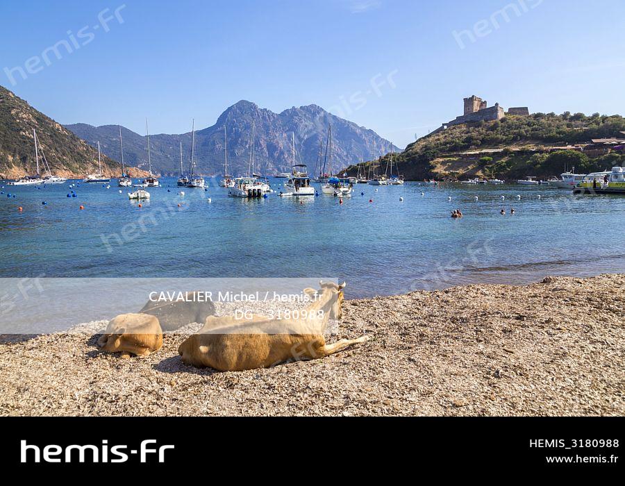 Hemis France Corse Du Sud Golfe Girolata Classe Patrimoine