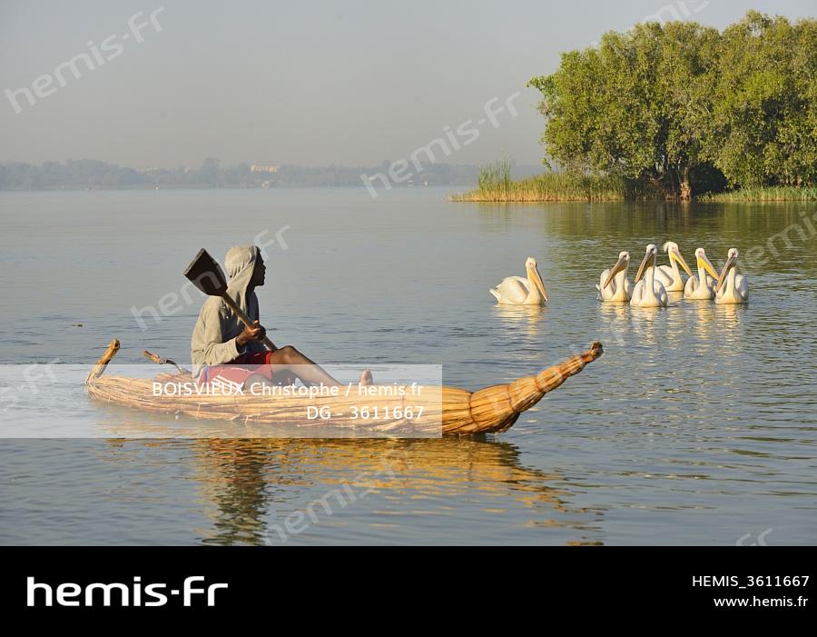 Hemis Ethiopie Lac Tana Pecheur Barque Papyrus Traditionnelle Tankwa Pelicans