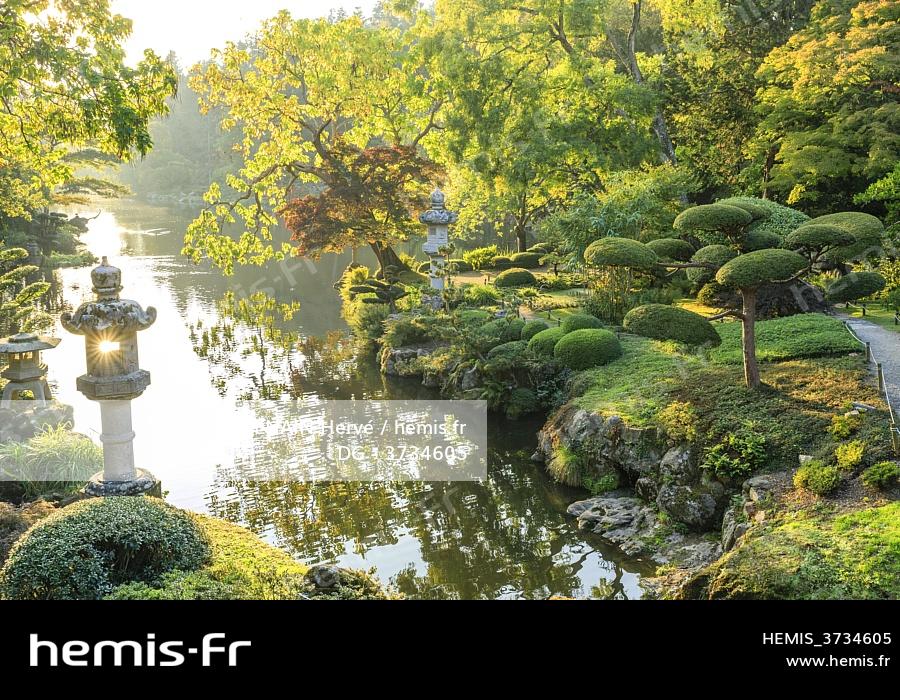 Détail Du Jardin Japonais Miniature Nugget D'or Et Pierres Image stock -  Image du asie, centrale: 164342459