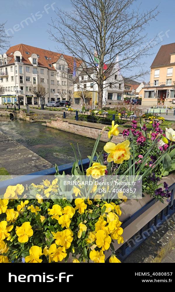 JARDI DECO  Niederbronn