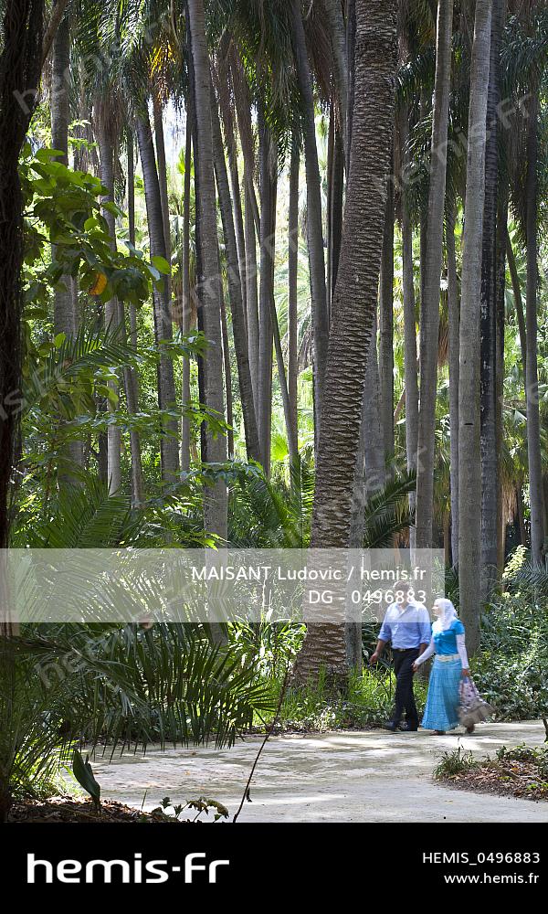 Hemis Algerie Alger Quartier Hamma Jardin Essai Datant Jardins Acclimatation Importants Monde