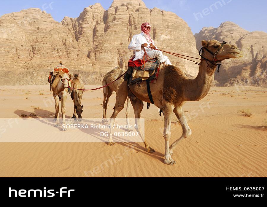 Hemis Jordanie Desert Wadi Rum Unesco Caravane Chameaux